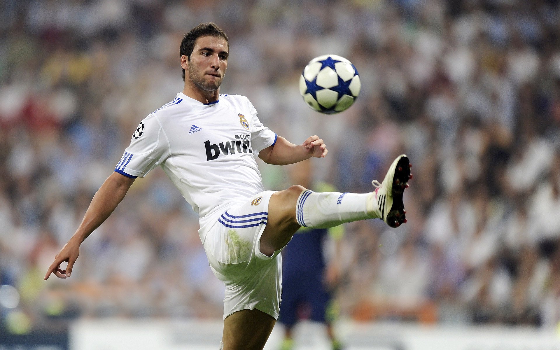 历史瞬间：那些年球队赢得冠军的经典时刻，有没有球队全胜夺冠