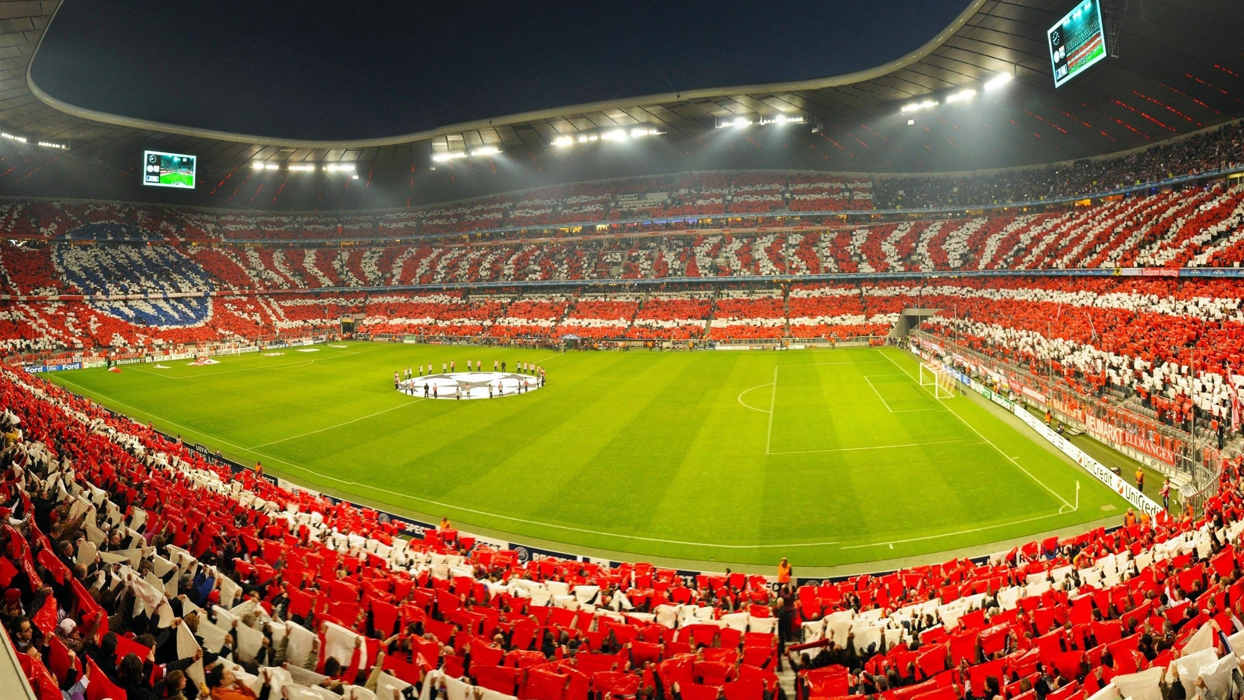 大型森林高空绳索探索，刺激十足的极限体验，高空绳索训练架